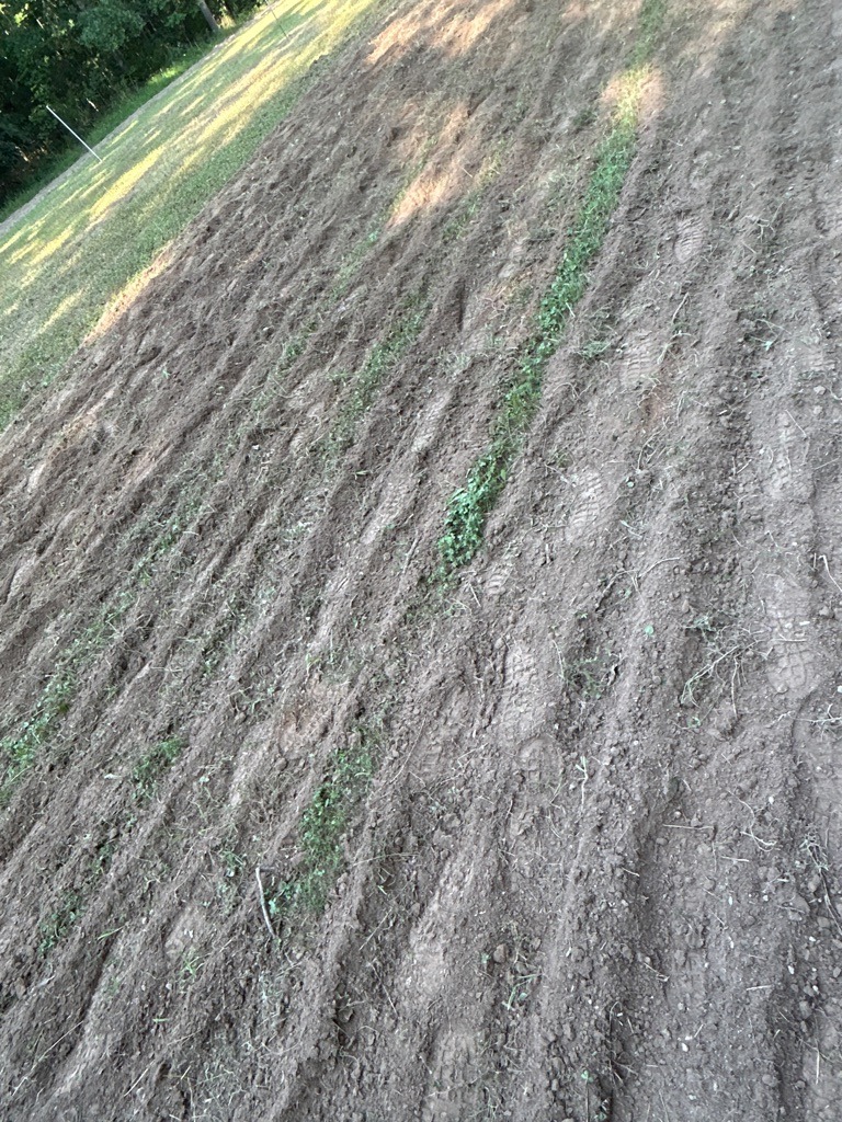 Tilled Piedmont Clay Loam