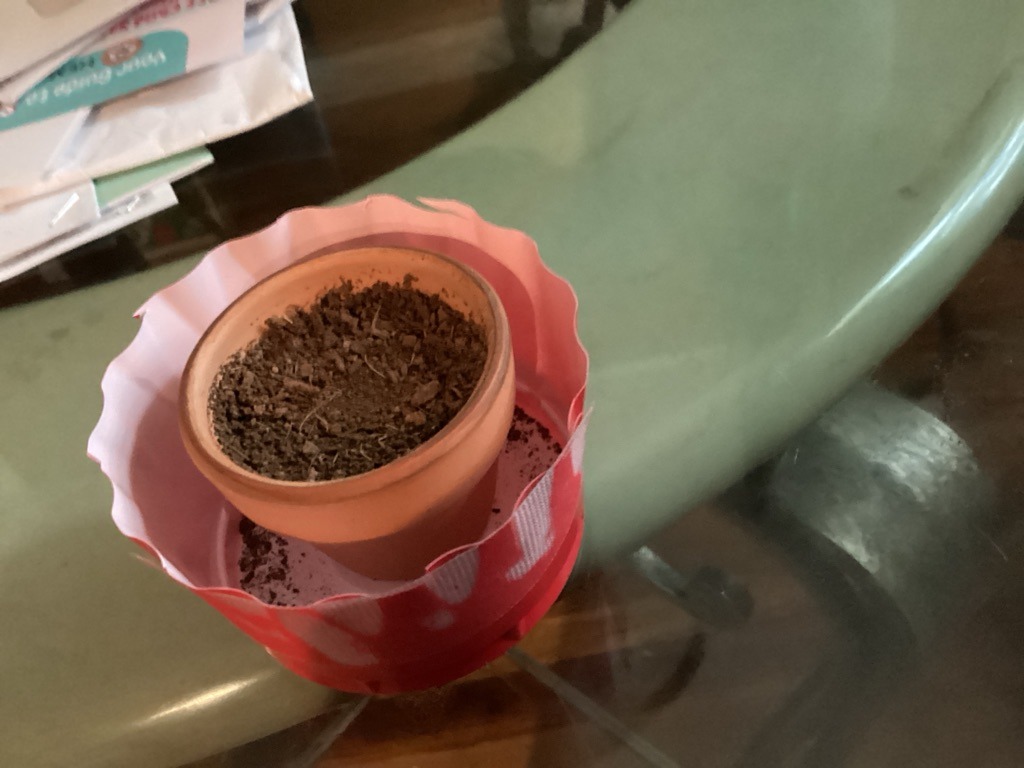 Organic-Rich Bark-Based Potting Mix