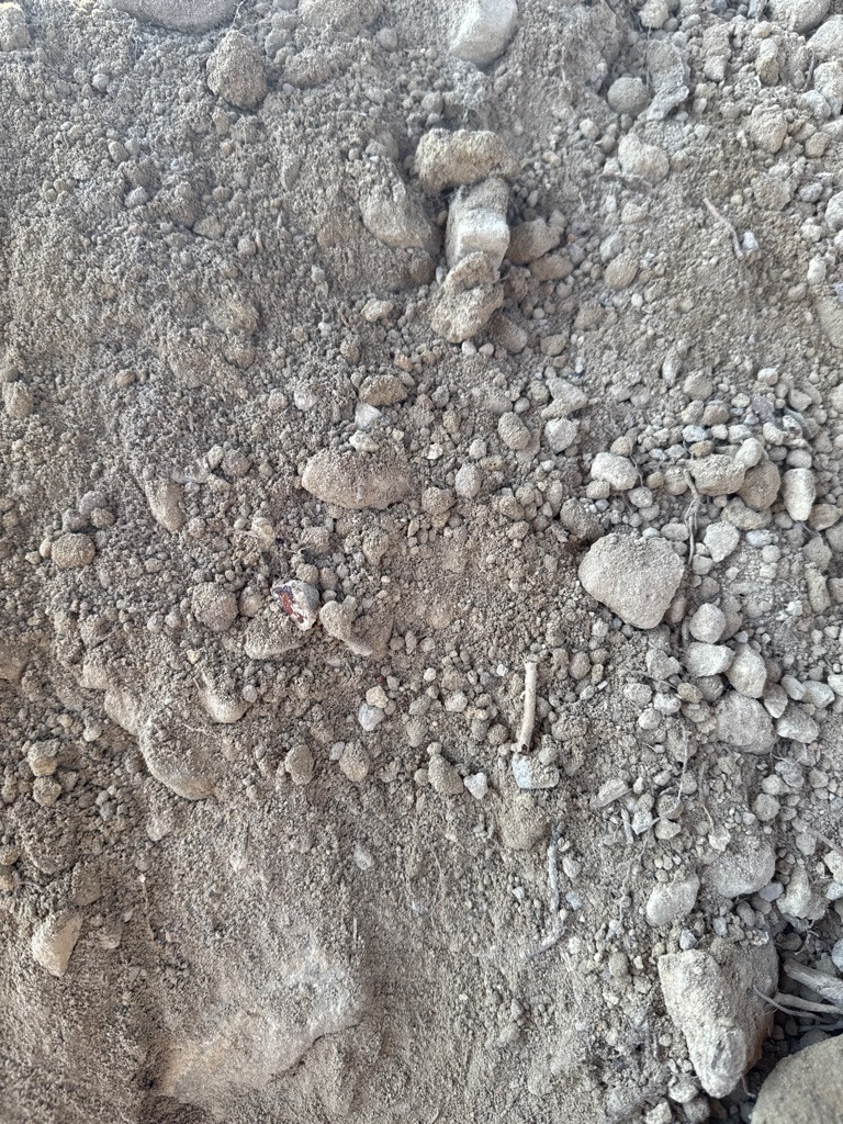 Arid Calcareous Sandy Loam with Gravel