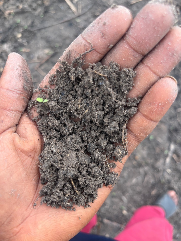 Rich Organic Silty Loam