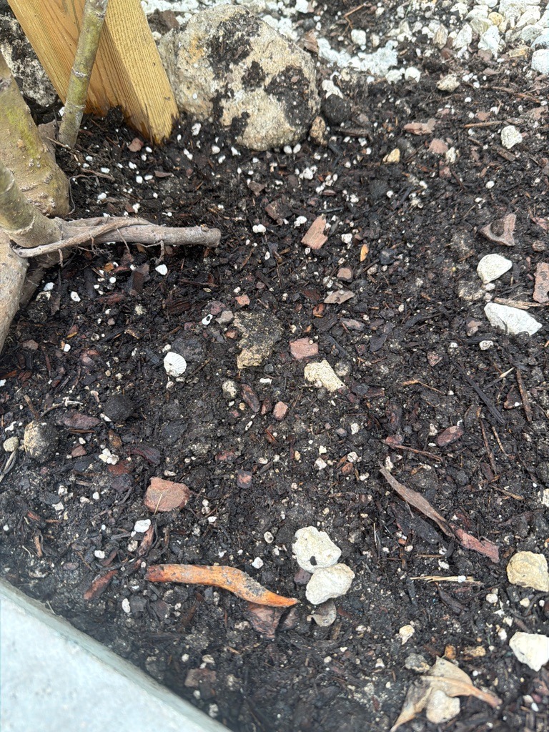 Amended Organic Garden Loam with Perlite