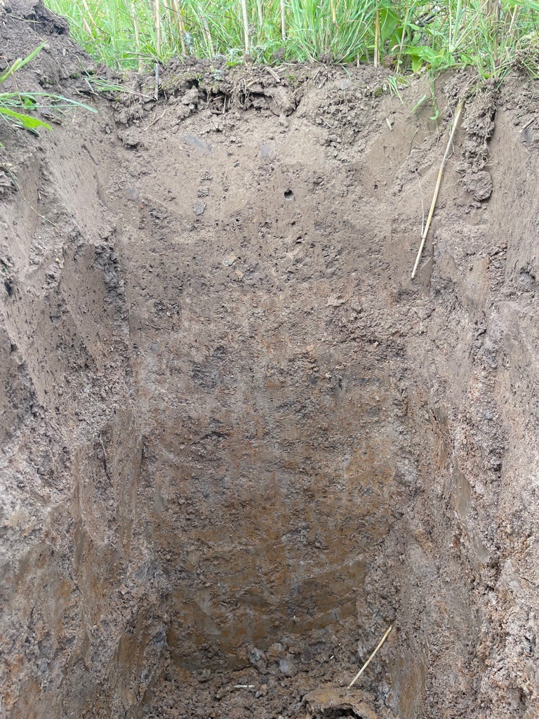 Glacial Till Silt Loam Profile