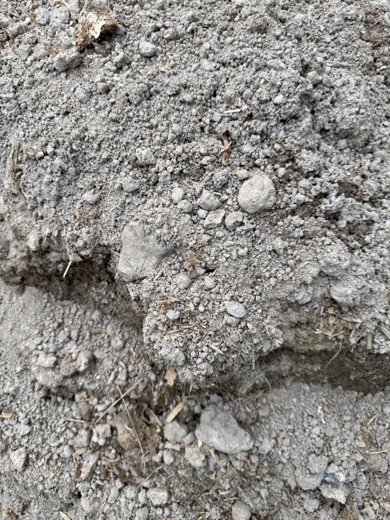 Calcareous Silt Loam Subsoil