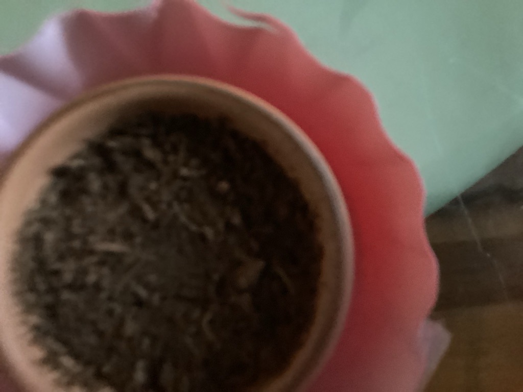 Organic-Rich Bark-Based Potting Mix