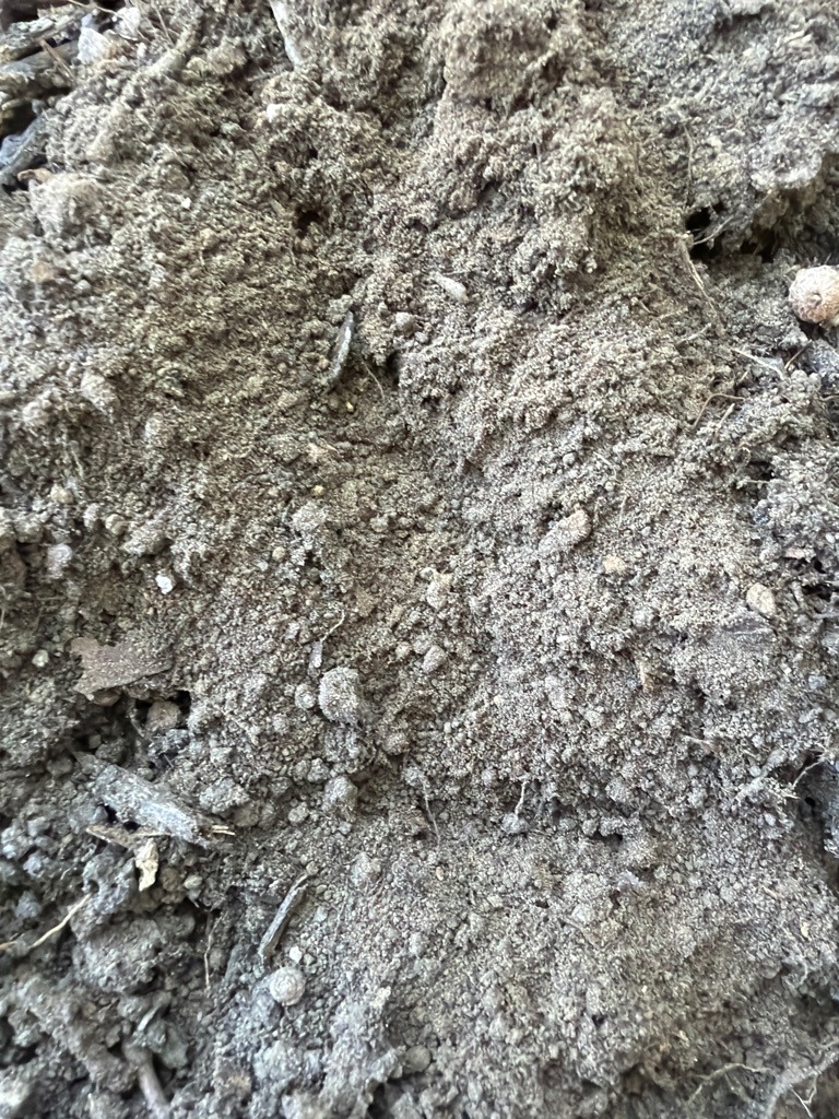 Suburban Shrub Bed Sandy Loam