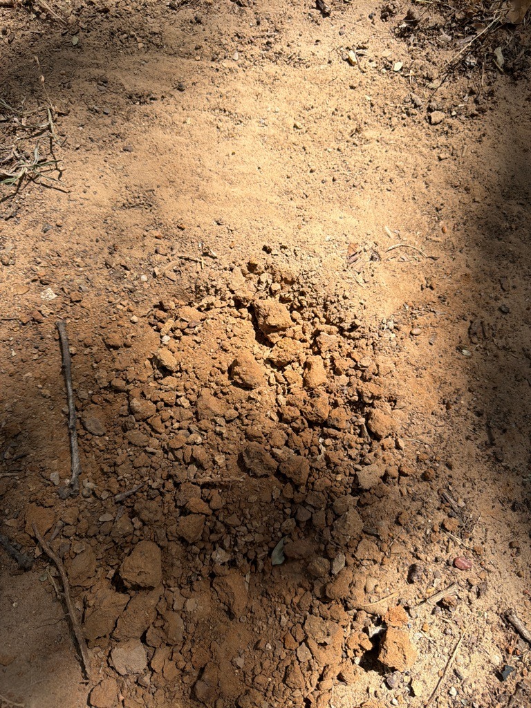 Red Piedmont Clay Loam