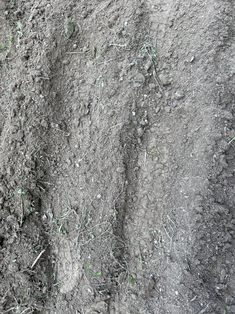 Temperate Silty Loam Agricultural Soil