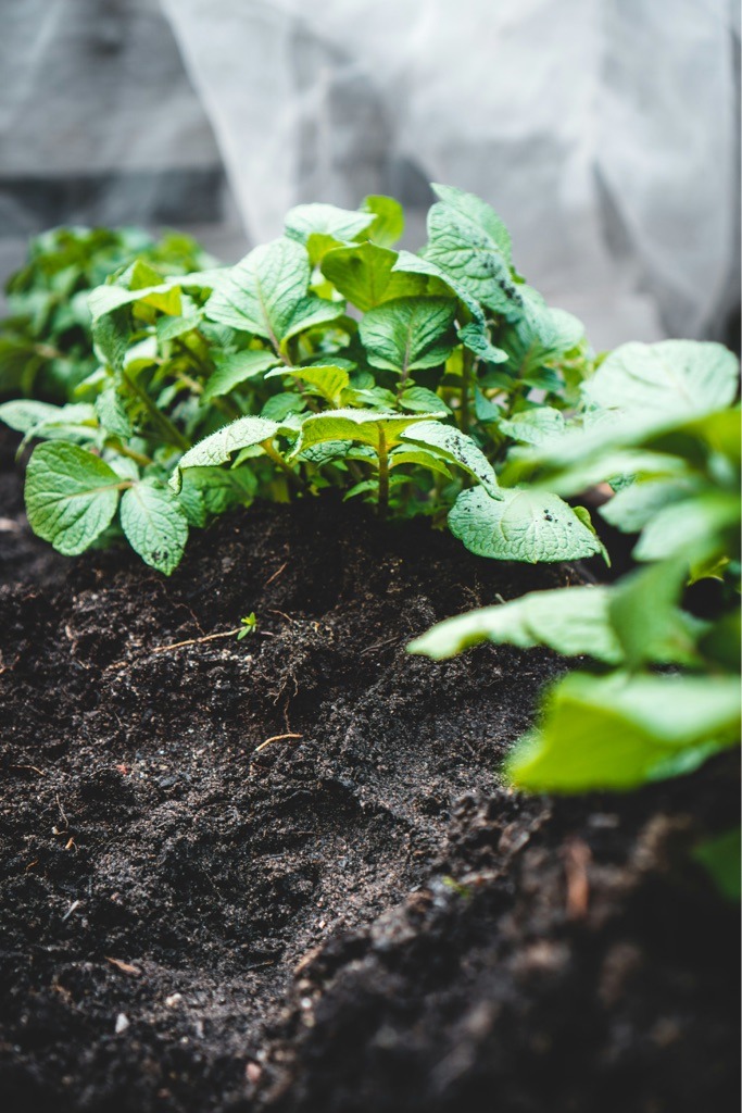 Premium Humic Garden Loam