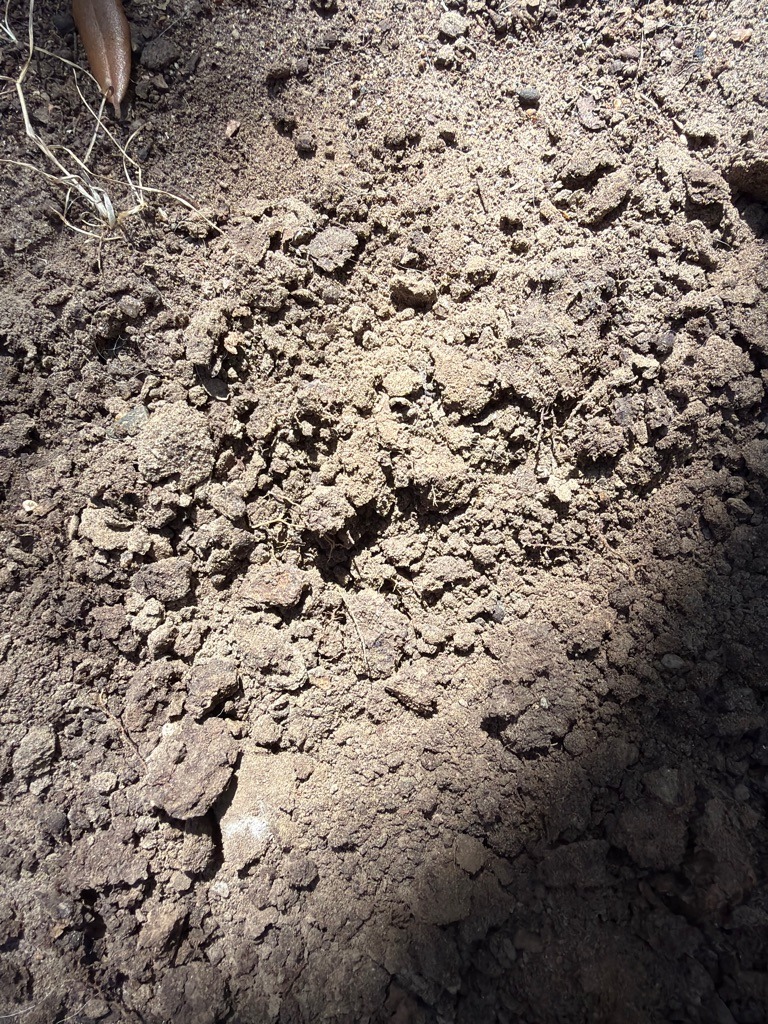 Urban Back Gate Sandy Loam