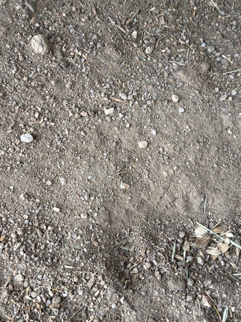 Arid Granitic Sandy Loam