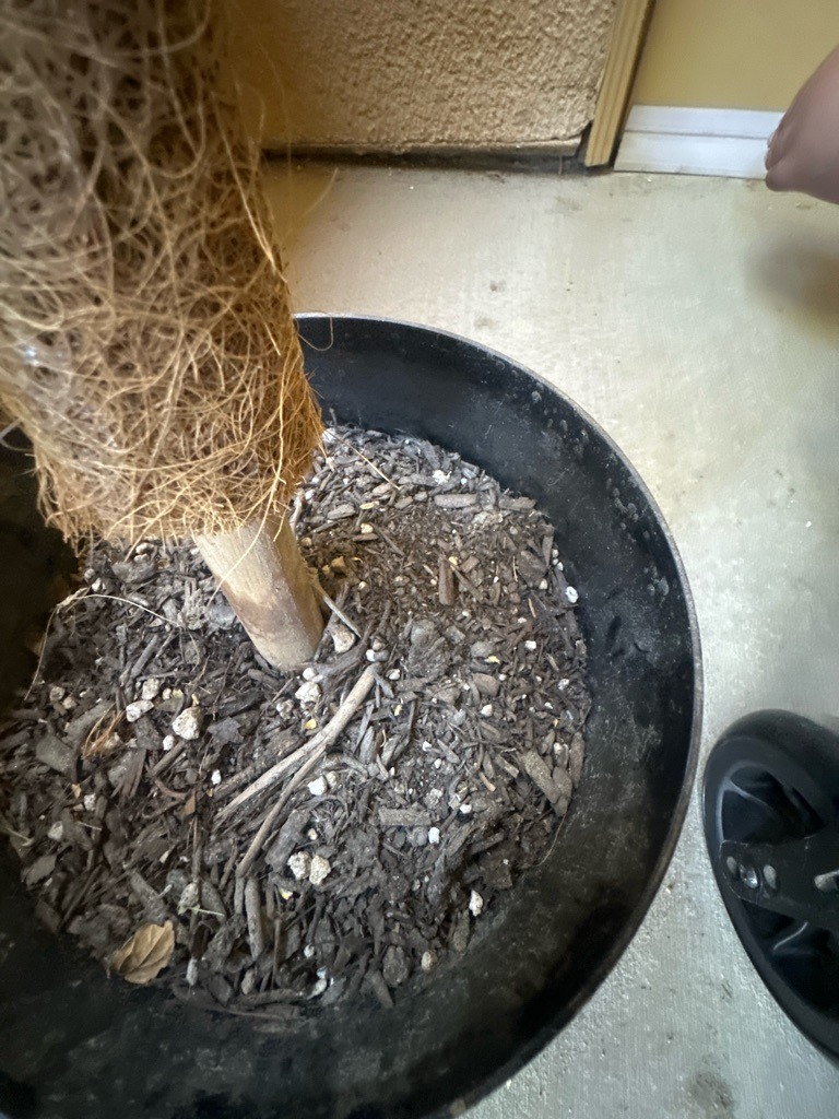 Coir-Rich Potting Mix