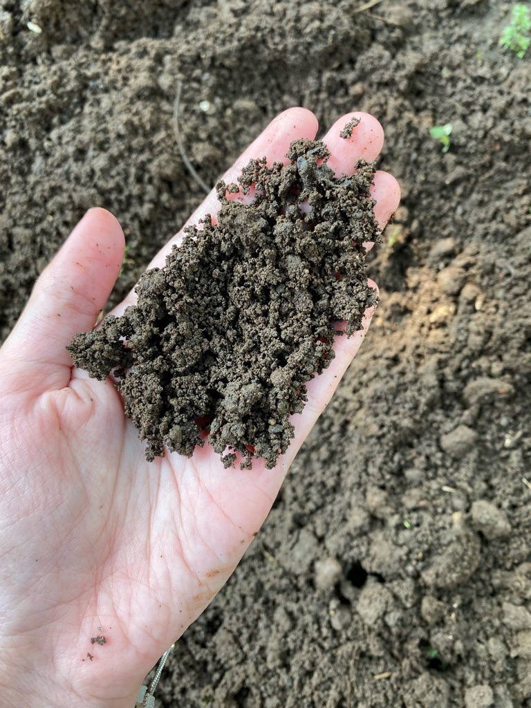 Rich Temperate Humic Loam
