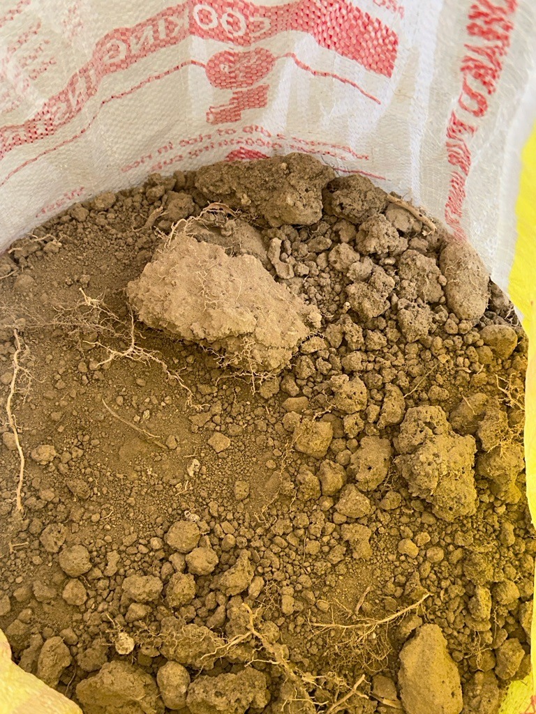 Tupi Volcanic Loam
