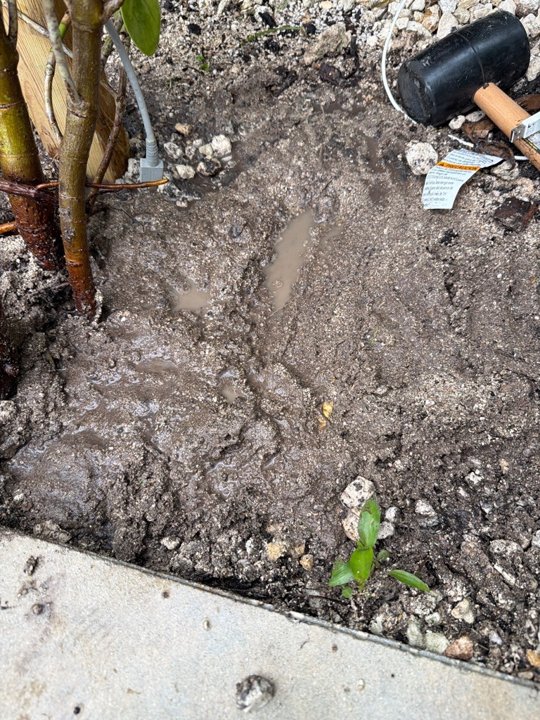 Saturated Marl-Derived Urban Calcareous Loam