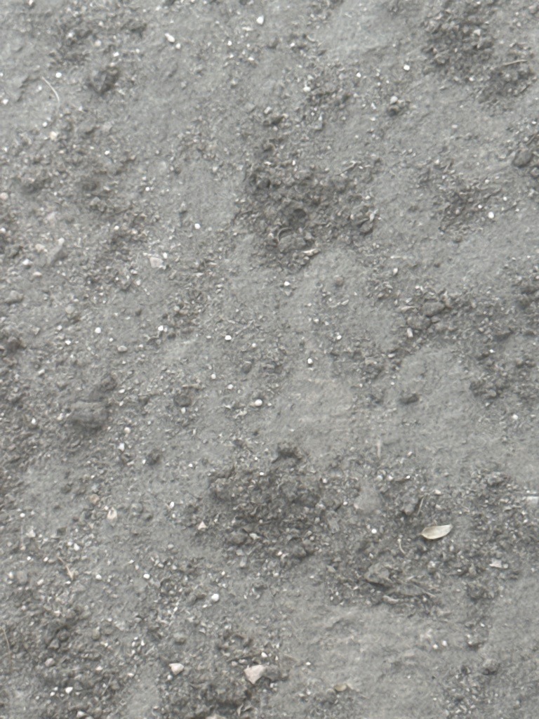 Pale Silt Loam Surface Soil