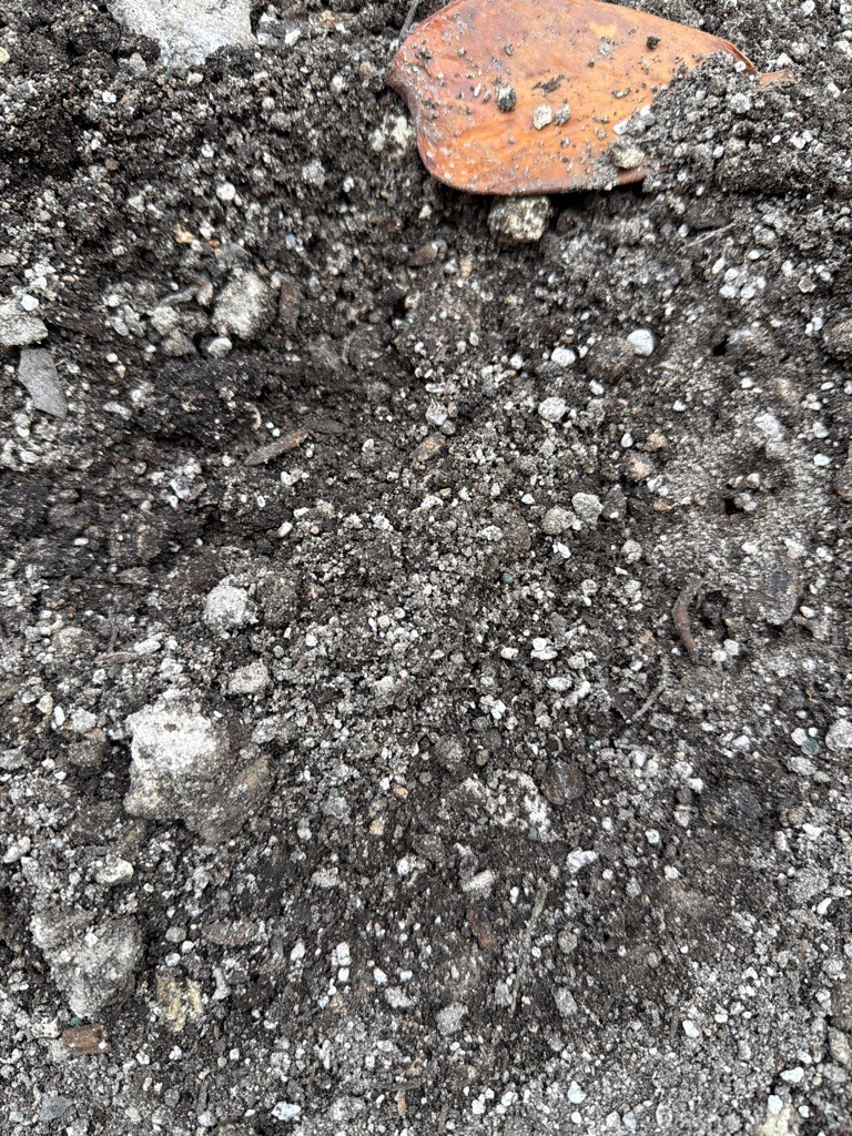 Dark Organic Potting Mix with Perlite