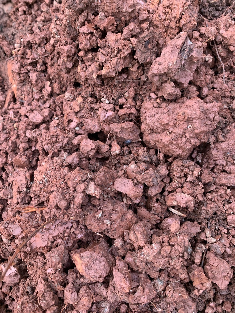 Upland Red Clay Residuum