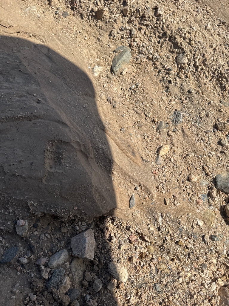 Arid Granitic Coarse Sandy Loam