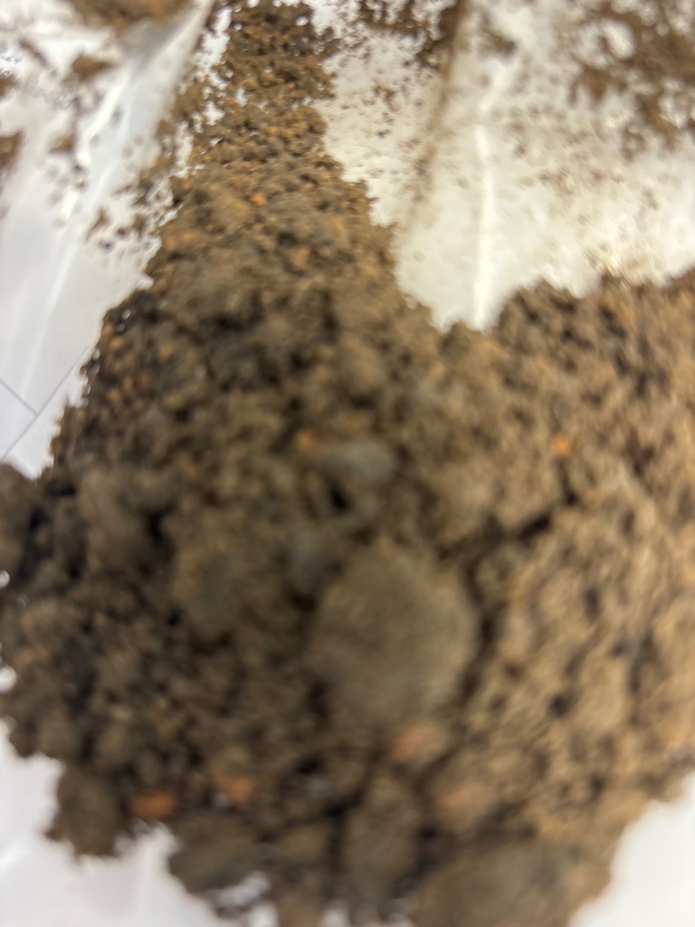 Dark Organic-Rich Loam