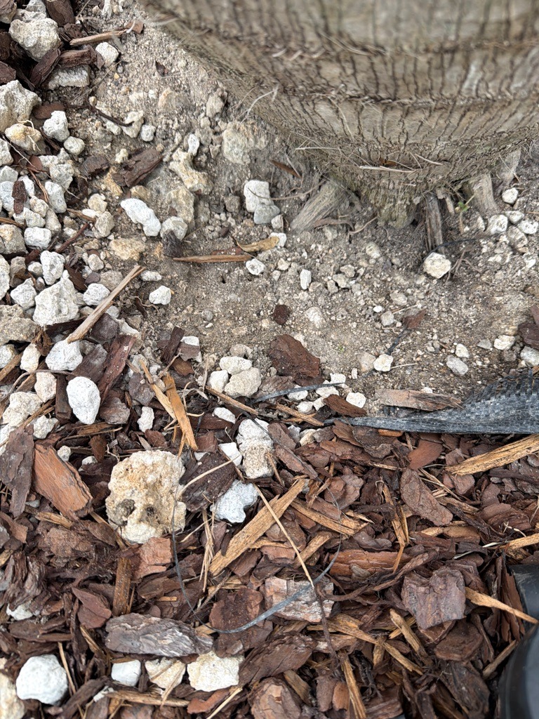 Coarse Subtropical Coral Sand and Limestone Fill