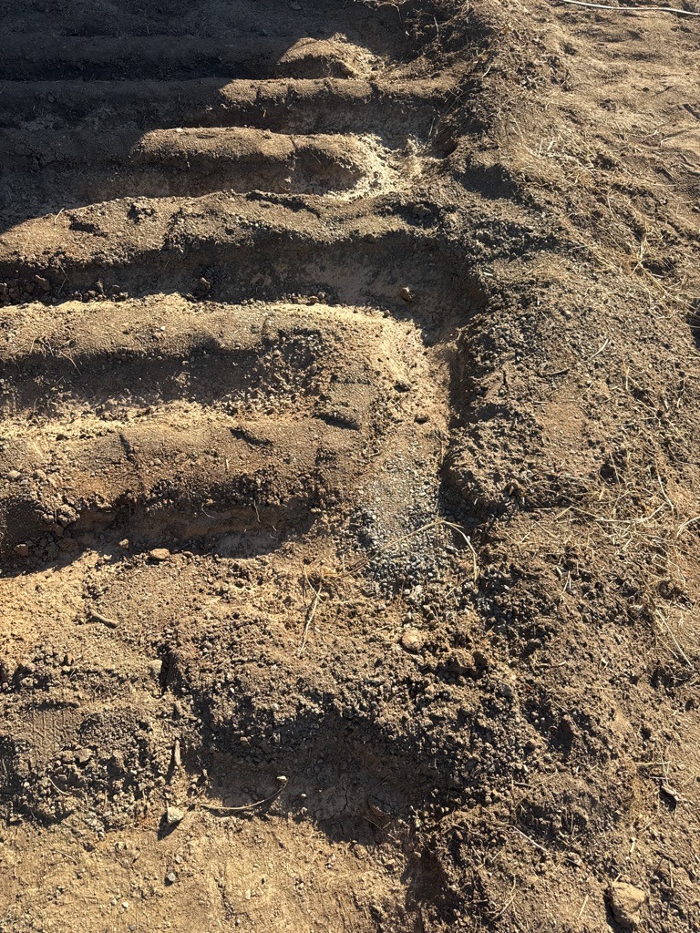Arid Disturbed Sandy Loam