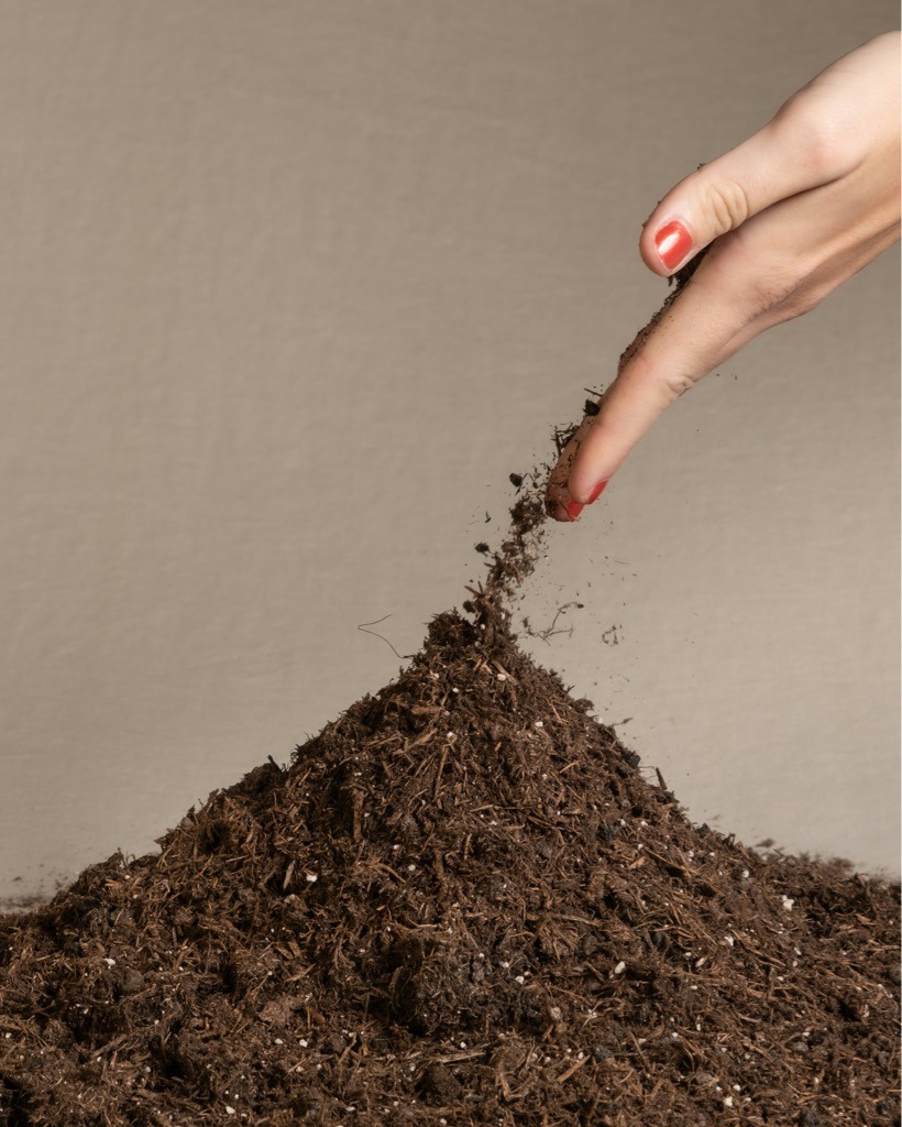 Premium Horticultural Potting Mix