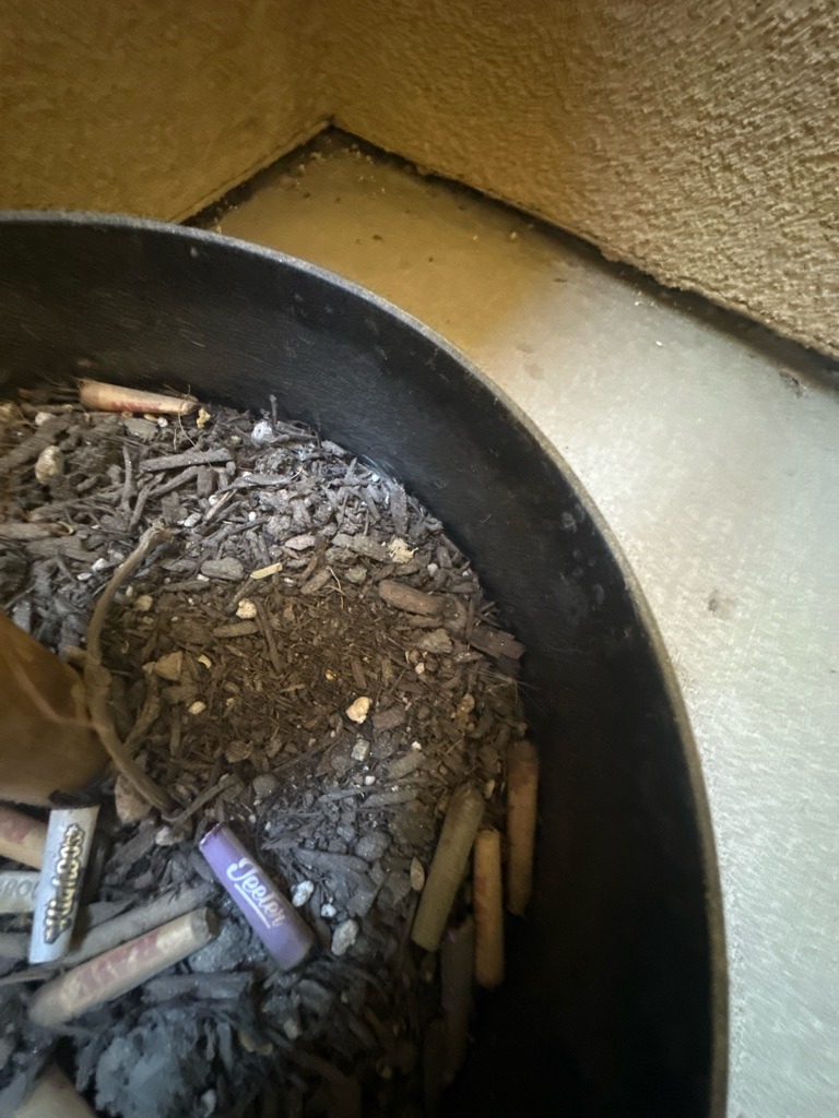 Urban Container Potting Mix with Heavy Debris Accumulation