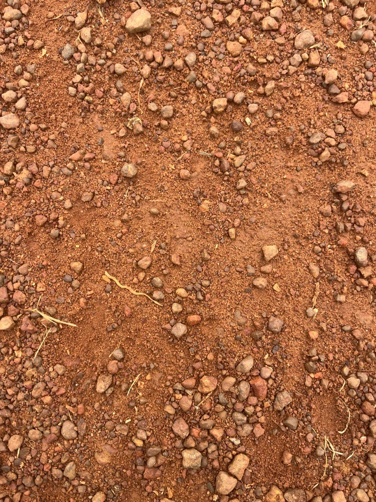 Gravelly Red Clay Loam / Ferruginous Lateritic Soil