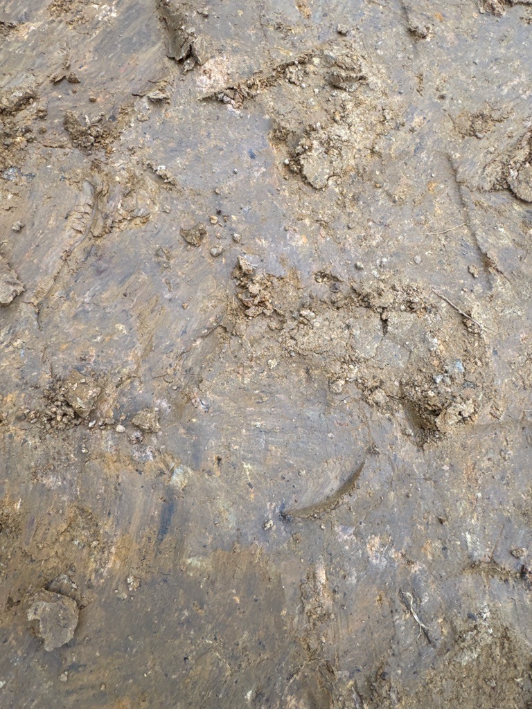 Heavy Gray-Brown Clay Subsoil