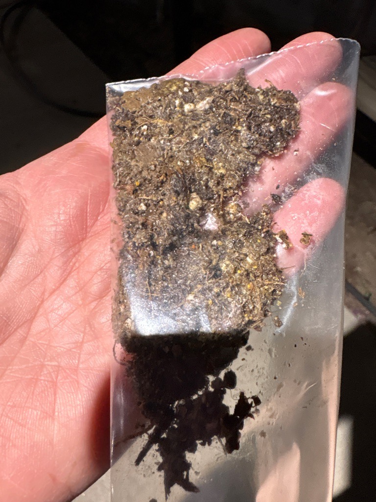 Organic-Rich Alluvial Loam with Horticultural Amendments
